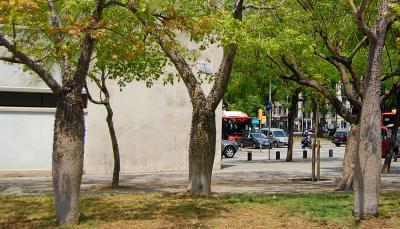 Прикрепленное изображение: 0604s.jpg